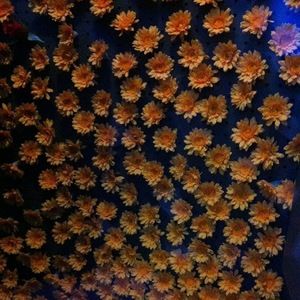 Meet your Posher, Lindsay